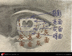 成小星采集到教程