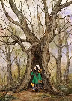 森林里的老树，不知道它有多大年纪呢？~ 来自韩国插画家Aeppol 的「森林女孩日记」系列插画。