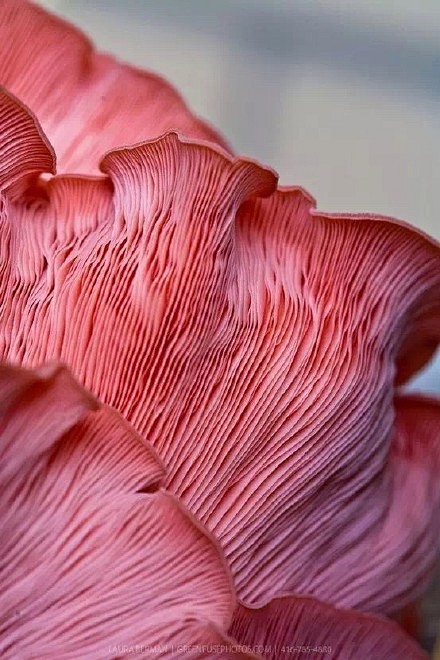 ——