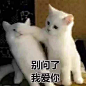 “佛曰：不可说...”