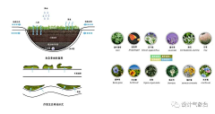 麦当劳叔叔采集到生态修复