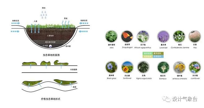 疗愈生态剖面图