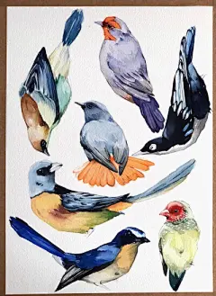 手账素材 • 水彩插画 - 堆糖，美图壁纸兴趣社区