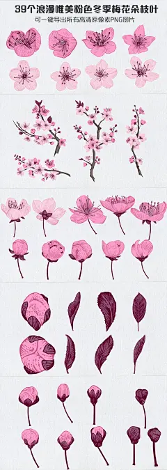 浪漫唯美粉色冬季梅花朵枝叶PNG素材