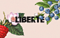 LIBERTÉ Organic 果汁 饮料 插画 设计 蓝莓 草莓 包装 品牌