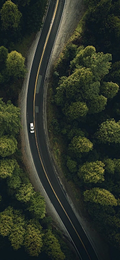 兴趣怡然采集到路