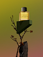balance of nature fragrance still life