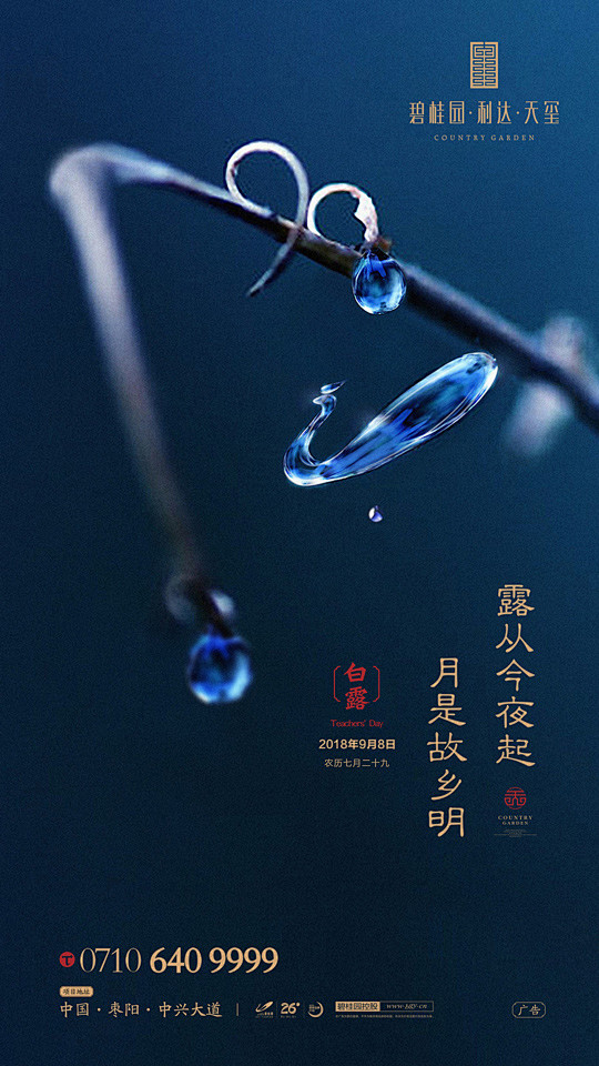 碧桂园 白露 节气