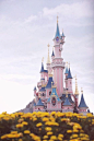 Viaje a Disneyland París ¡vuelve a ser un niño! - http://vivirenelmundo.com/viaje-disneyland-paris-vuelve-ser-un-nino/3691 #DisneylandParís