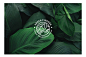 Green Fingers Branding design on Behance