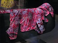 奇怪的中国文物：皇家狗袍