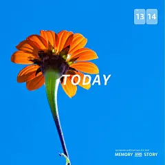 词卡今日晒照一天简约风plog模板