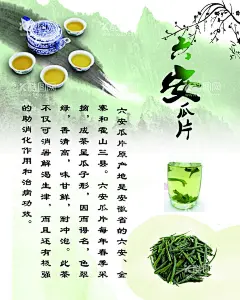 六安瓜茶  - 源文件下载【酷图网】六安瓜片,安徽六安瓜片,十大名茶,茶庄,茶园,茶博会,茶叶展销,茶道,贺卡,优惠券,茶叶促销,名茶海报,六安瓜片海报,茶马古道,六安瓜片茶,茶文化,六安瓜片展板,六安瓜片宣传,六安瓜片包装,六安瓜片文化,六安瓜片促销,六安瓜片单页,六安瓜片画册,六安瓜片名茶,六安瓜片茶叶