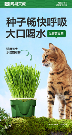 梳蓝采集到瑞乐宠