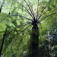 赤水行－－涤肺荡心之旅 多图, 淫家好羞射啦旅游攻略