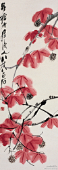 齐白石 作品 《枫叶鸣蝉图》--- 此画作于八十八高龄，兼工带写的笔意，红黑映衬互托，令画面充满自然的情趣和意韵。阔笔大写意花卉与工笔细密相巧妙结合，是齐白石花鸟画中最具个人风格的特色。