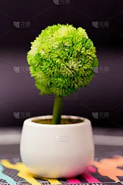 桌饰为十五寿宴小壶和小花瓶，色彩鲜艳