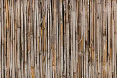 干的,芦苇,纹理,干草,水平画幅,墙,茅屋屋顶,无人,草,平局