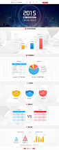 2015运营数据报告
