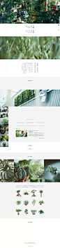 b2795d66ab150f16033e35da0653842c3888cbbfb7310-u7jRf1_fw658.webp