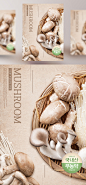 菌类 香菇 平菇 金针菇 浅豆沙背景 餐饮美食海报PSD_平面设计_海报