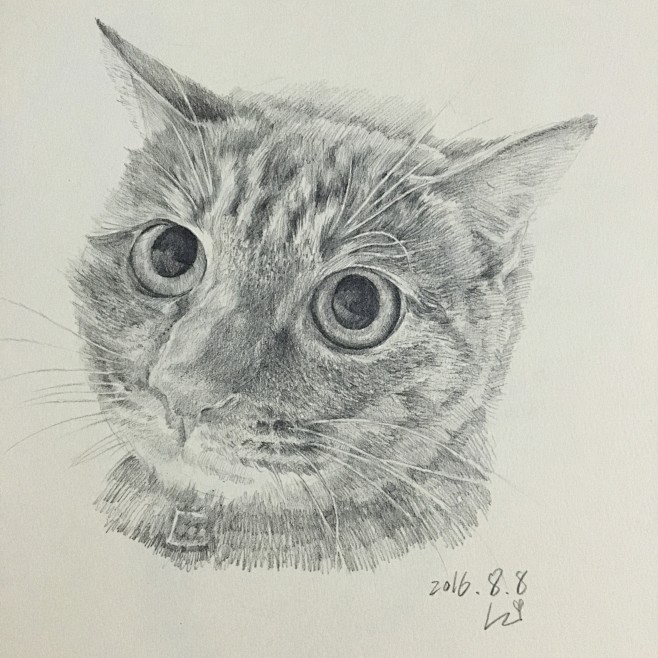 素描猫头像