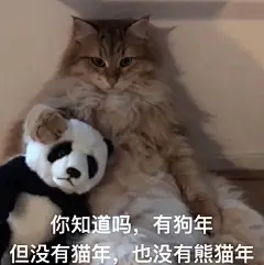 你手机里最搞笑的表情包是哪个？（请关闭水印）？ - 知乎