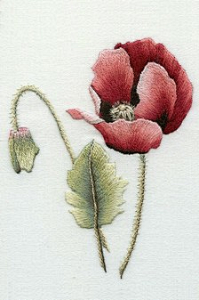 刺绣-花瓣网|陪你做生活的设计师 | 国画白描荷花素材