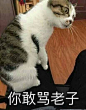对这个大脑袋永远欲罢不能[求关注] 来自大锅只是喝醉 - 微博