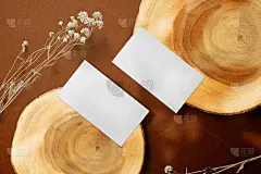 清洁最小的商业名片模型木制板与干燥的植物背景