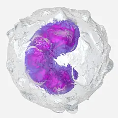 半透明细胞微距插画高清素材 免费下载 设计图片 页面网页 平面电商 创意素材 png素材