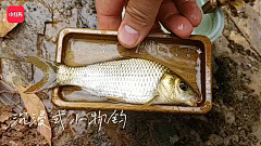 YOUKKIIIII采集到11111