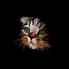 苏格兰折耳猫手绘插画矢量图素材