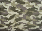 “camouflage pattern”的图片搜索结果