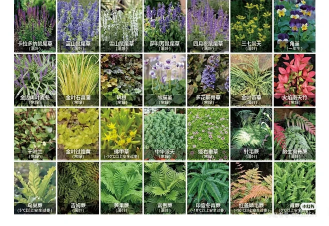 来自分享-花瓣网