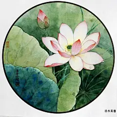 清凉雅意 绚丽生动｜梁季兰笔下的宫庭团扇_先生_花鸟_工笔 :  写生在梁季兰的生活中一直持续了几十年，而这些扎实的功底也奠定了她敏锐细致的观察力和百画而不重样的深厚功力。 梁季兰老师是一位拿作品说话的画家，她不需要太多的炒作和背景渲染，她的工笔画也不仅仅是视…