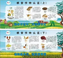 粮食作物认识区  - 源文件下载【酷图网】水稻,大麦,小麦,燕麦,黑麦,小豆,大豆,高粱,玉米,谷子,糜子,大米,面粉,农作物,种植物,早教,农作物介绍,看图识字,宣传栏,锄禾日当午,汗滴禾下土,锄禾,农耕,麦田,