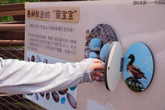 淙妈采集到科普景观