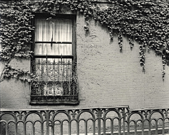peggysuns采集到Brett Weston