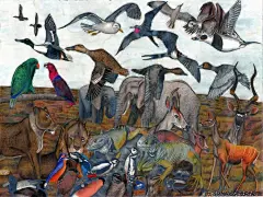 David Barth 1998年出生于鹿特丹，自从可以握笔以来，他就开始画画。 身为阿斯伯格综合症（自闭症）患者，小小年纪的他对世界就有着独特的视角， 丰富而细腻的细节，超越常人的构图能力。 ​​​​