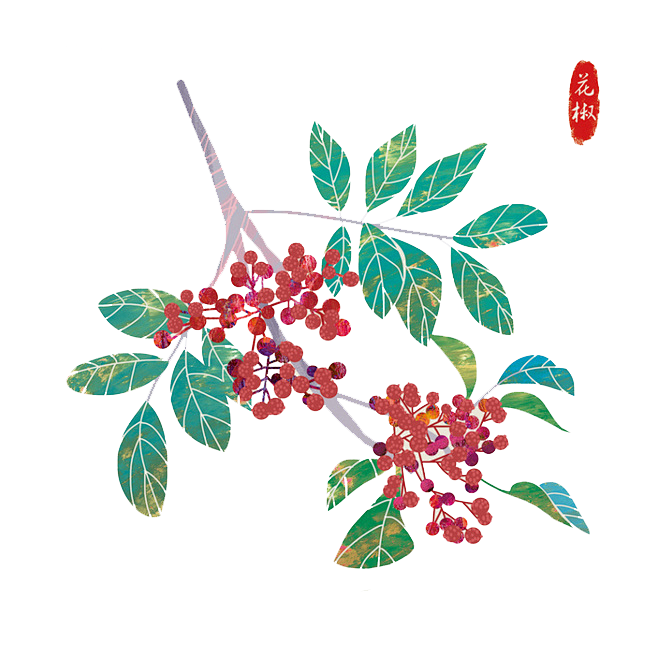 手绘花椒