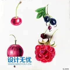 野果 手绘水果美食手绘插画JPG图片设计素材