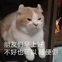 谢谢你小迪 不叫小迪也没关系 无所谓
看到这张图第一感觉是张好的表情包，但仔细一想对我来说好像用不上，因为没有们。