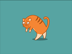 影伦采集到猫