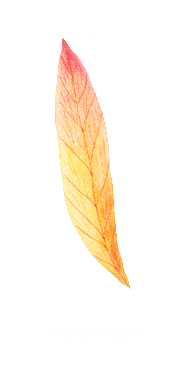 夏季五颜六色的水彩热带花卉 tropic...