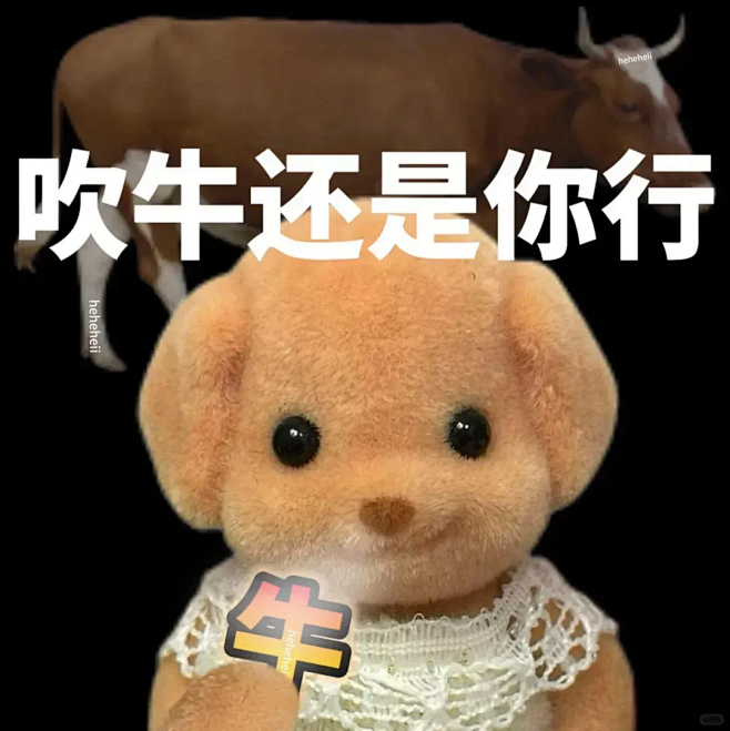 森贝儿表情包