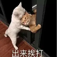 你有哪些骚破天际的表情包？ - 知乎 : 天和我来了！这么久没更新，不好意思哈但是记得爱我哈！下面开始更新我来了我来了，我带着表情包走来了我…