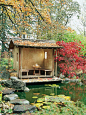 Teahouse and Koi pond啊！ #花园#