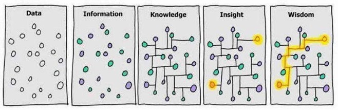 信息、知识、洞察、智慧