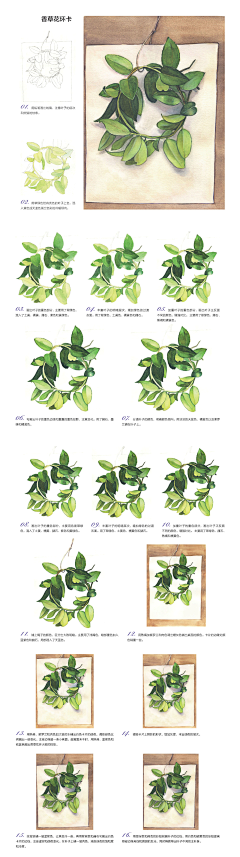 偷吃神仙果采集到水彩  过程  教程